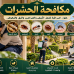 صورة ChatGPT 23 أكتوبر 2026، 11 53 57 ص 5